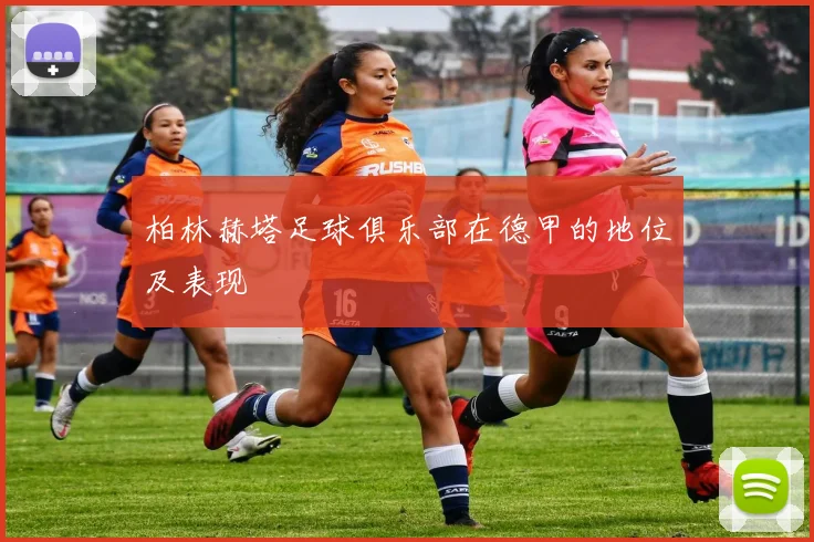 柏林赫塔足球俱乐部在德甲的地位及表现