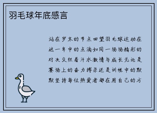 羽毛球年底感言