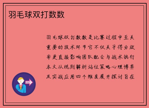 羽毛球双打数数