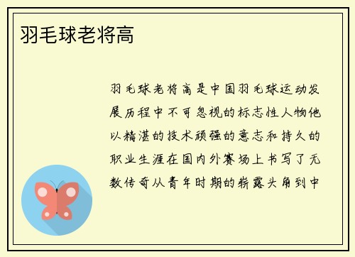 羽毛球老将高
