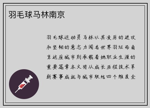 羽毛球马林南京