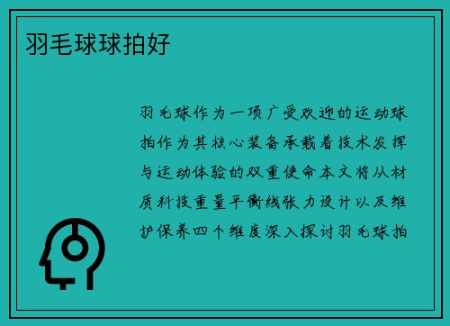 羽毛球球拍好